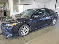 4T1B11HK6KU239349 2019 TOYOTA CAMRY