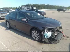 4T1B11HK6KU242784 2019 TOYOTA CAMRY