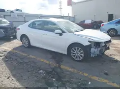 4T1B11HK6KU252439 2019 TOYOTA CAMRY