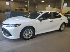 4T1B11HK6KU257446 2019 TOYOTA CAMRY