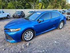 4T1B11HK6KU269788 2019 TOYOTA CAMRY