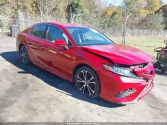 4T1B11HK6KU299843 2019 TOYOTA CAMRY