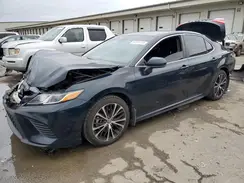 4T1B11HK6KU300070 2019 TOYOTA CAMRY