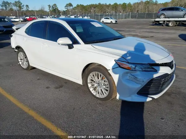 4T1B11HK6KU685033 2019 TOYOTA CAMRY - Image 1