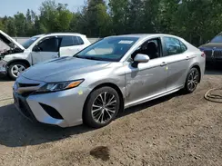 4T1B11HK6KU687302 2019 TOYOTA CAMRY