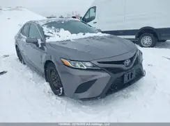 4T1B11HK6KU703885 2019 TOYOTA CAMRY