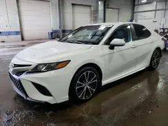4T1B11HK6KU707063 2019 TOYOTA CAMRY