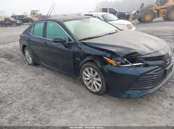 4T1B11HK6KU709427 2019 TOYOTA CAMRY