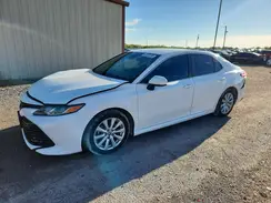 4T1B11HK6KU713896 2019 TOYOTA CAMRY