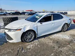 4T1B11HK6KU725059 2019 TOYOTA CAMRY