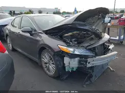 4T1B11HK6KU727846 2019 TOYOTA CAMRY