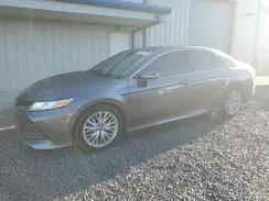 4T1B11HK6KU732478 2019 TOYOTA CAMRY