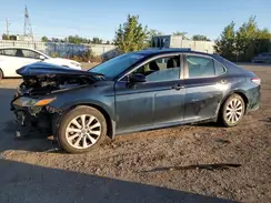 4T1B11HK6KU748583 2019 TOYOTA CAMRY