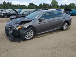 4T1B11HK6KU752231 2019 TOYOTA CAMRY