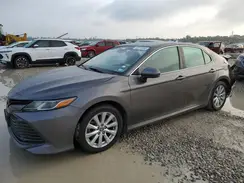 4T1B11HK6KU753881 2019 TOYOTA CAMRY