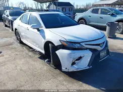 4T1B11HK6KU764881 2019 TOYOTA CAMRY