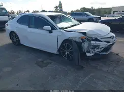 4T1B11HK6KU765206 2019 TOYOTA CAMRY