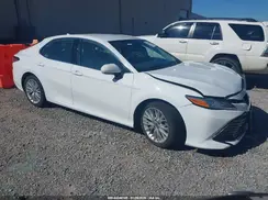 4T1B11HK6KU766923 2019 TOYOTA CAMRY