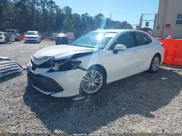 4T1B11HK6KU766923 2019 TOYOTA CAMRY - Image 2