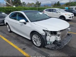 4T1B11HK6KU770485 2019 TOYOTA CAMRY