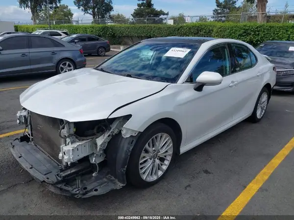 4T1B11HK6KU770485 2019 TOYOTA CAMRY - Image 2