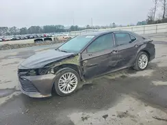 4T1B11HK6KU773144 2019 TOYOTA CAMRY