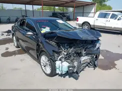 4T1B11HK6KU774715 2019 TOYOTA CAMRY