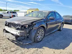 4T1B11HK6KU789781 2019 TOYOTA CAMRY