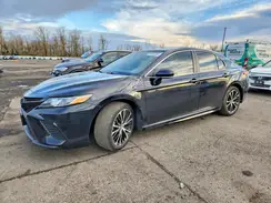 4T1B11HK6KU797976 2019 TOYOTA CAMRY