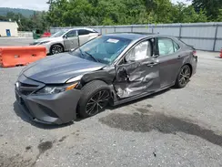 4T1B11HK6KU798562 2019 TOYOTA CAMRY
