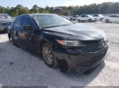 4T1B11HK6KU800035 2019 TOYOTA CAMRY
