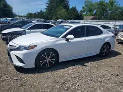 4T1B11HK6KU802660 2019 TOYOTA CAMRY