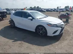4T1B11HK6KU805557 2019 TOYOTA CAMRY