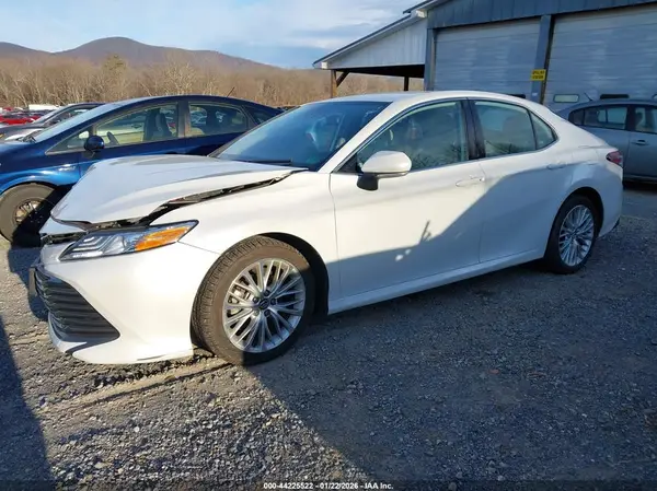 4T1B11HK6KU808863 2019 TOYOTA CAMRY - Image 2