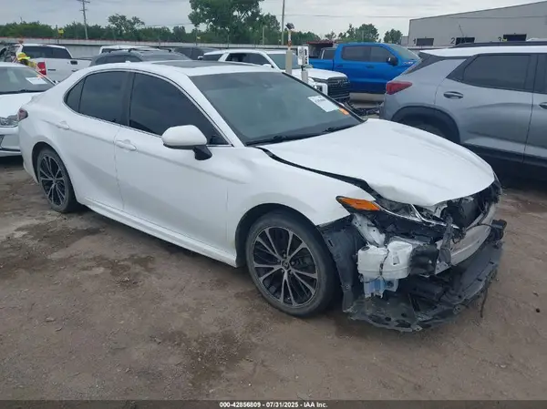 4T1B11HK6KU808927 2019 TOYOTA CAMRY - Image 1