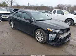 4T1B11HK6KU815232 2019 TOYOTA CAMRY