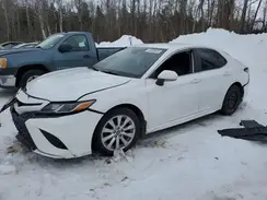 4T1B11HK6KU819250 2019 TOYOTA CAMRY