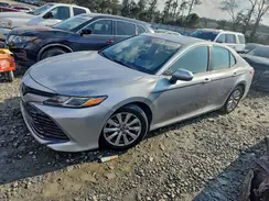 4T1B11HK6KU821774 2019 TOYOTA CAMRY