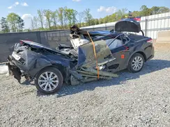4T1B11HK6KU826666 2019 TOYOTA CAMRY