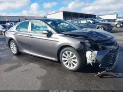 4T1B11HK6KU831382 2019 TOYOTA CAMRY