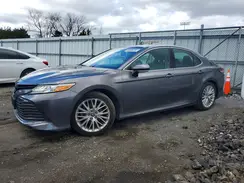 4T1B11HK6KU833150 2019 TOYOTA CAMRY
