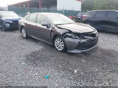 4T1B11HK6KU834816 2019 TOYOTA CAMRY