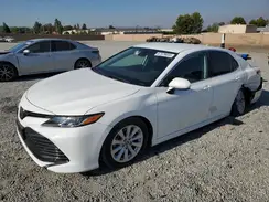 4T1B11HK6KU835237 2019 TOYOTA CAMRY