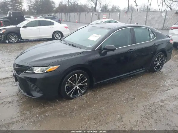 4T1B11HK6KU840860 2019 TOYOTA CAMRY - Image 2