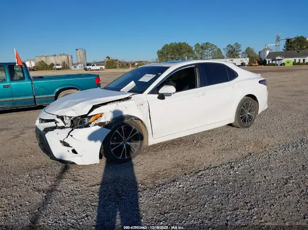 4T1B11HK6KU844309 2019 TOYOTA CAMRY - Image 2