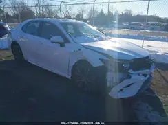 4T1B11HK7JU094448 2018 TOYOTA CAMRY