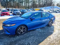 4T1B11HK7KU161650 2019 TOYOTA CAMRY