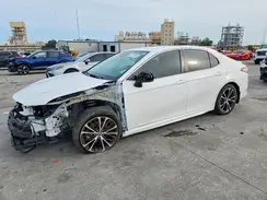 4T1B11HK7KU163141 2019 TOYOTA CAMRY