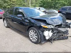 4T1B11HK7KU166010 2019 TOYOTA CAMRY