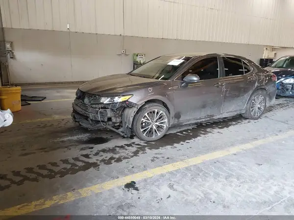 4T1B11HK7KU190033 2019 TOYOTA CAMRY - Image 2